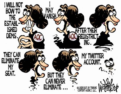 Political Cartoon U.S. AOC house seat eliminated Twitter