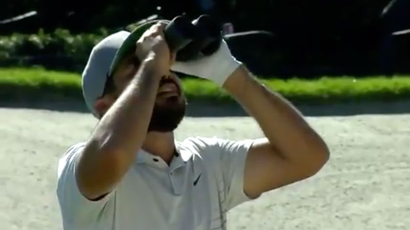 Jason Day Gets Ball Stuck Up Tree