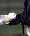9433C662-5997-4412-BABC-498AABA1AD57.jpg