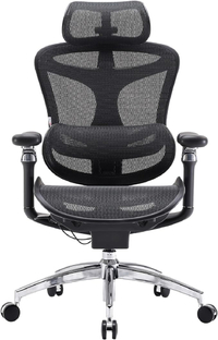 Sihoo Doro C300 Pro Ergonomic Desk Chair