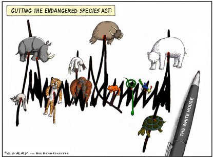 Political Cartoon U.S. Trump White House Gutting Endangered Species Act