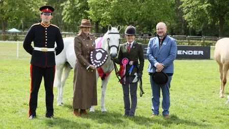 Pippa Kirby and Pied Piper are 2026 Windsor senior in hand champions
