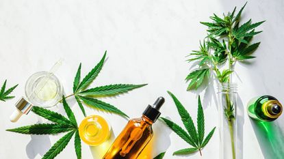 CBD for sleep oils and leaves