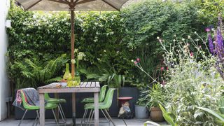 A shaded seating area with ferns and living wall