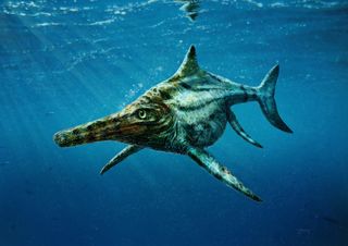 Scottish Ichthyosaur