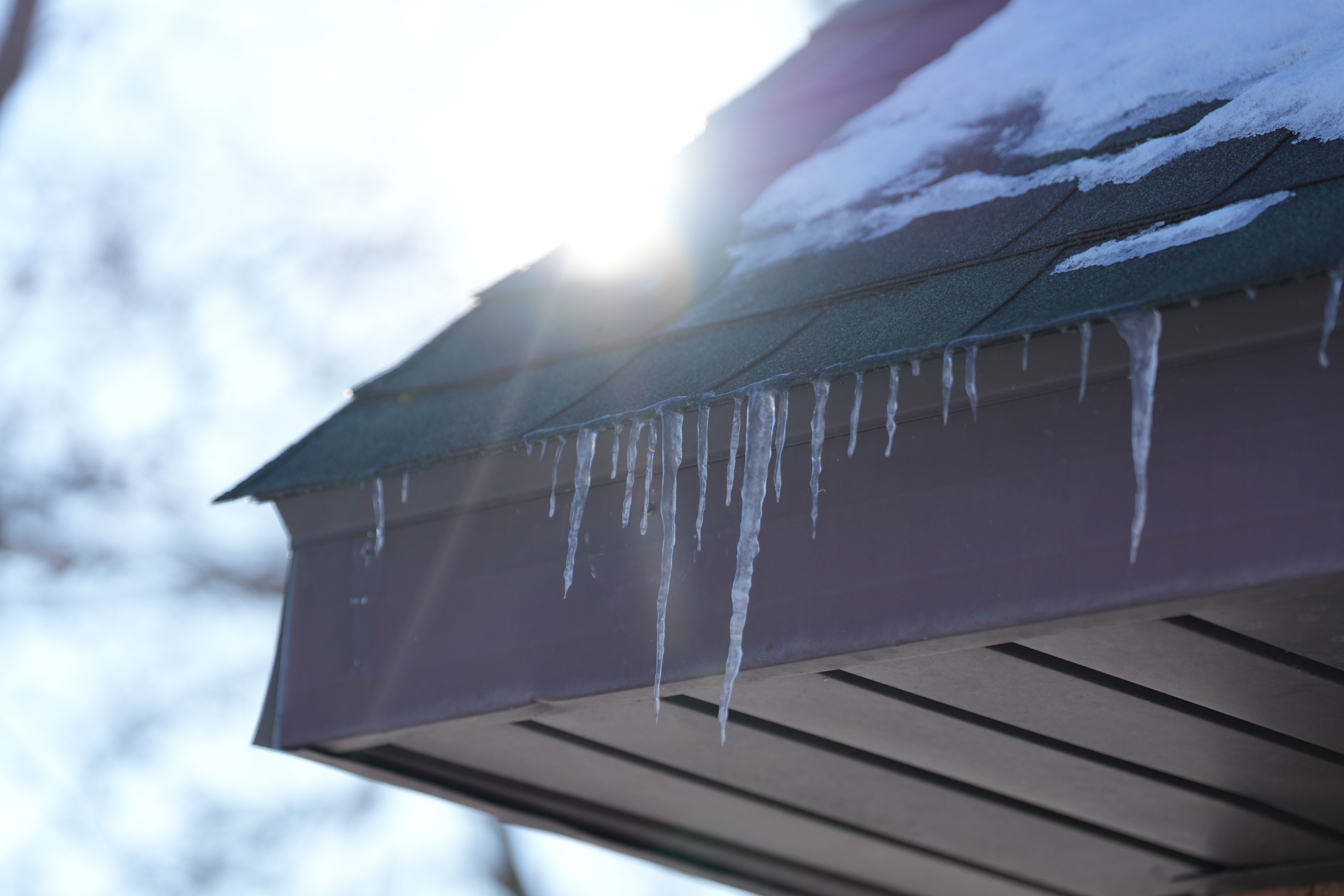 Sample images taken with the Sony 70-200mm f/2.8 GM OSS II lens and the Sony A7R V