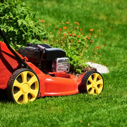 lawn mower next to garden bed