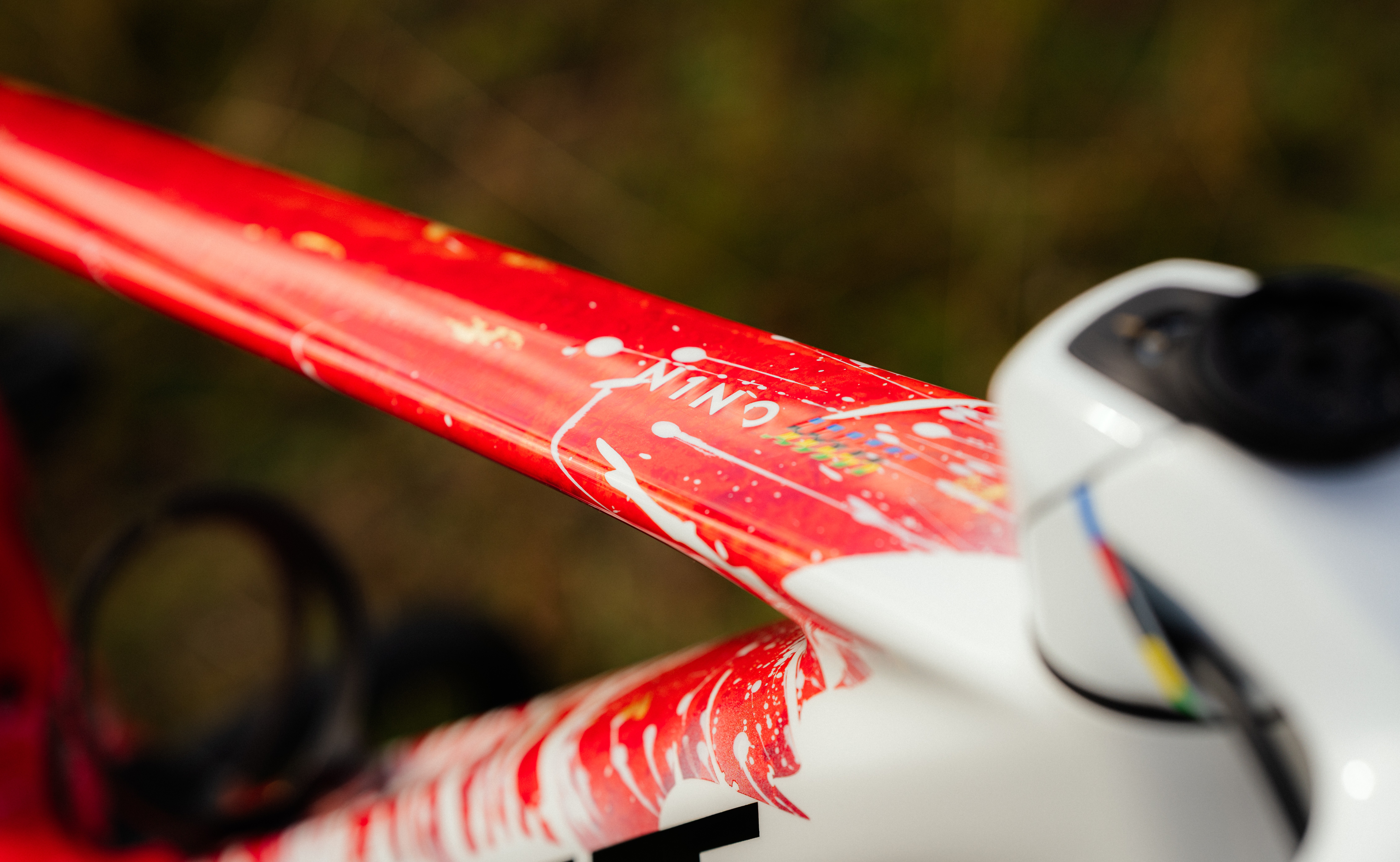 A Nino Shurter custom Scott Spark mtb