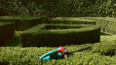 A hedge trimmer in front of neat topiary 