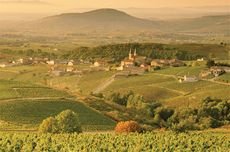 M&acirc;con vineyards in Burgundy