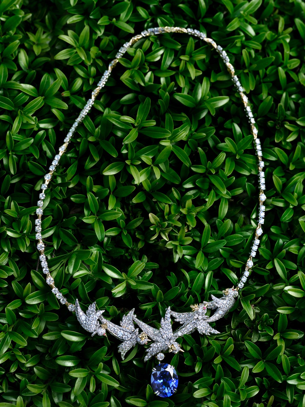 Diamond and sapphire necklace photographed on a leafy background