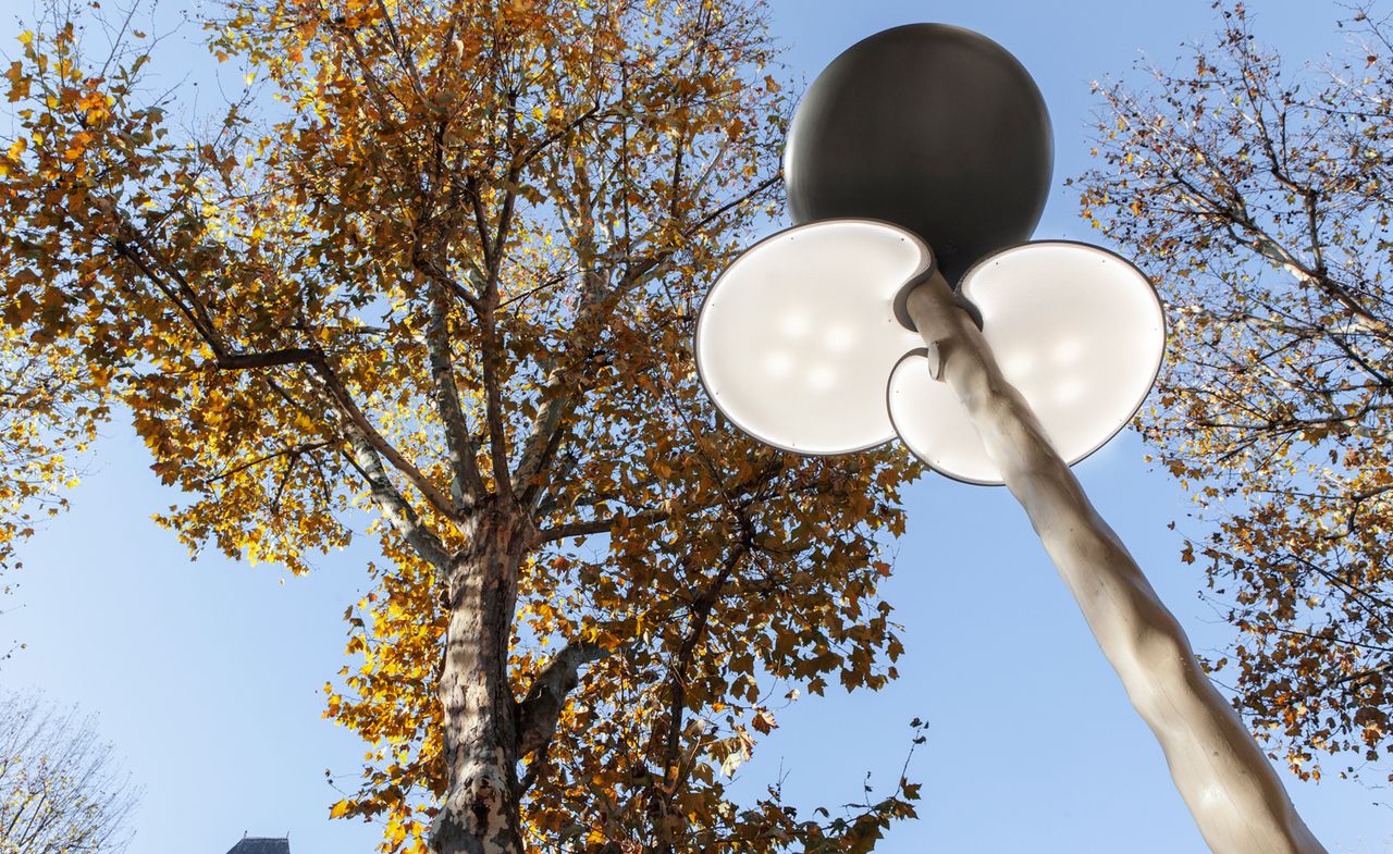 Black &amp; white street lamp next to large tree