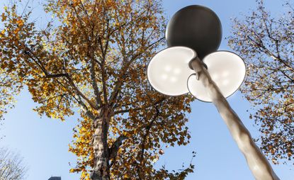 Black & white street lamp next to large tree