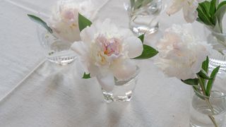 picture of white peonies in glass vases on white linen