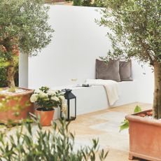 Natural stone patio with white wall that includes seating, surrounded by pots and olive trees