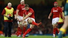 Wales full-back Leigh Halfpenny suffered concussion against Australia in November