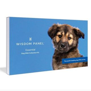 Wisdom Panel Essential Dog DNA Test Kit