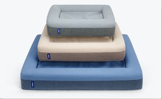 best pet mattress