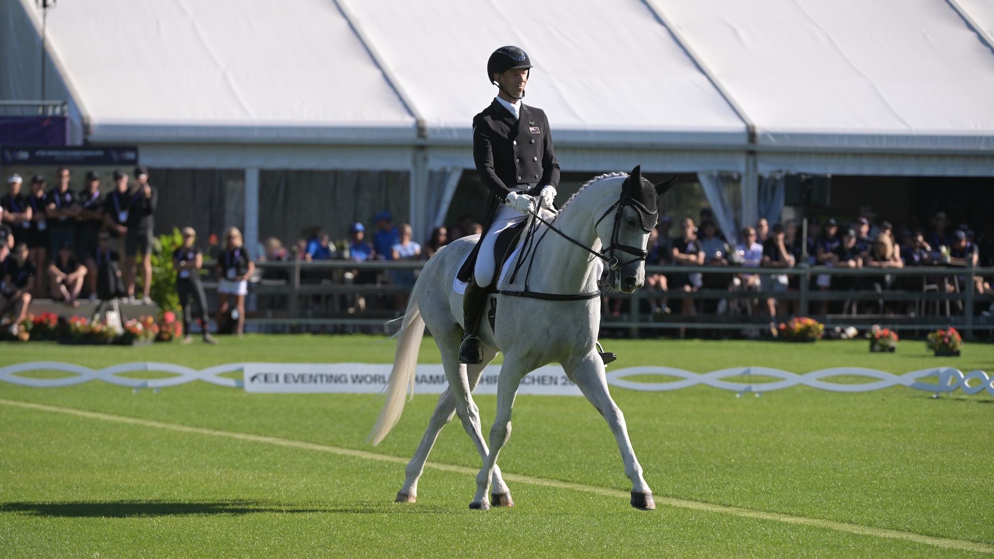 Image shows a grey horse performing a dressage movement in a grass arena