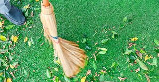 A soft bristled brush sweeping leaves off a lawn to show how to clean artificial grass