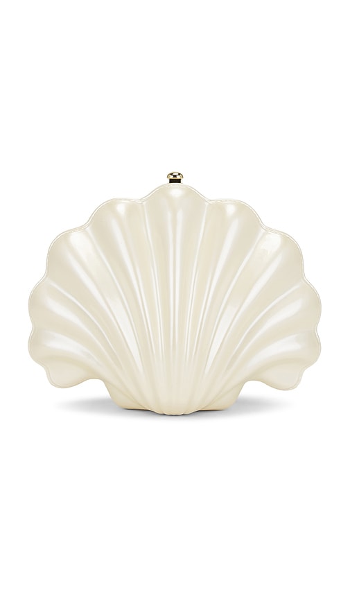 Shell Clutch