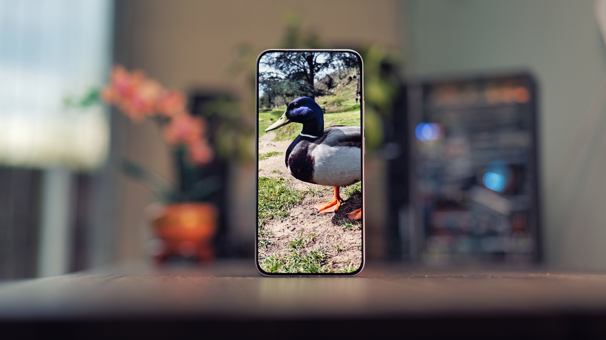 Vivo X300 FE phone