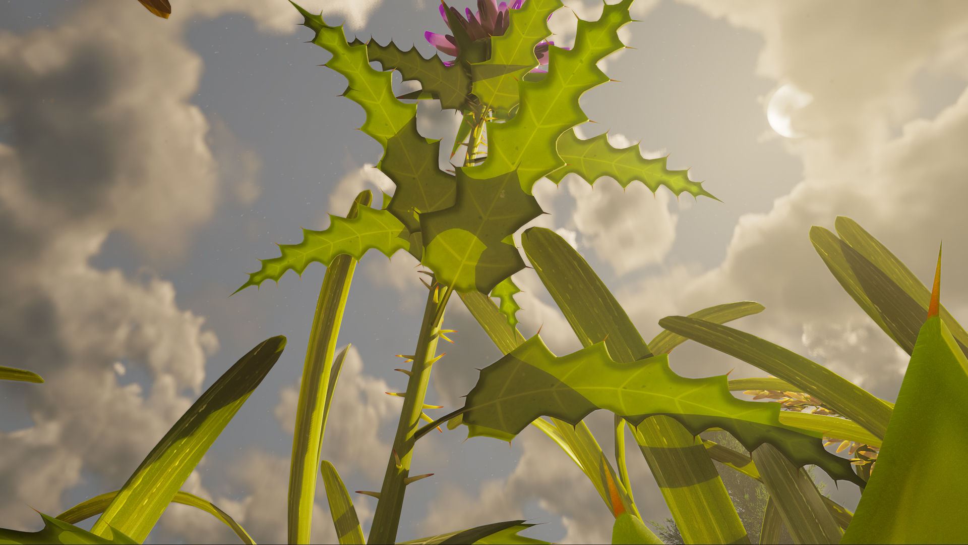 The Thistle weed in Grounded 2. It's a tall green plant with a pink bud at the top. Its leaves are spiky, and there are little needles running all the way down the stem.