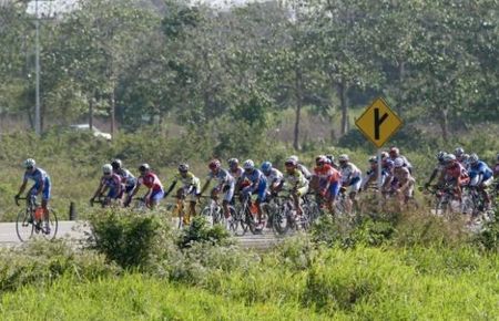 The peloton in action during stage 3.