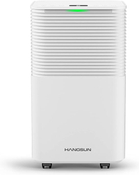 Hangsun 12L Dehumidifier | was £218.98 now £138.95 at Amazon