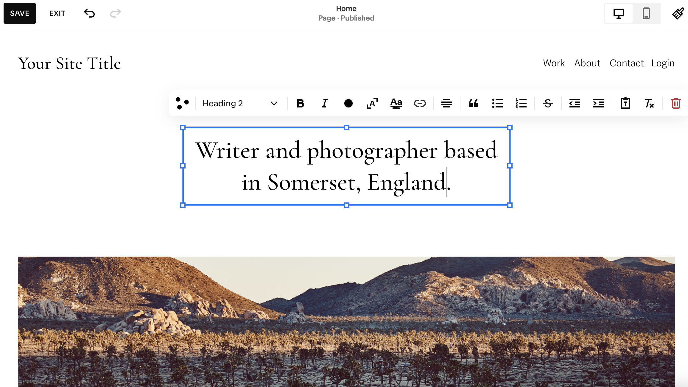 Screengrab showing text being added to website in Squarespace interface