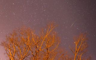 2014 Geminid Meteor Over New Jersey
