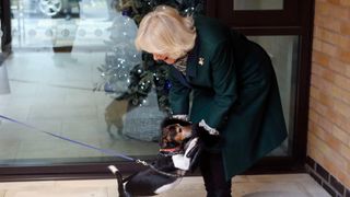 Camilla, Duchess of Cornwall with Beth, her jack-russell terrier as they visit the Battersea Dogs and Cats Home