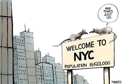 Editorial Cartoon U.S. New York City Rat Population Infestation