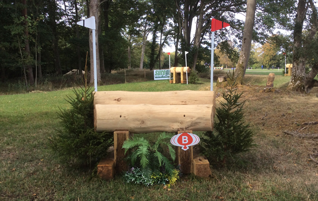 Blenheim Fences 2018