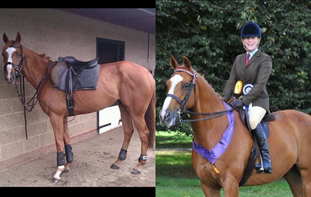 “This is Wild West who has been out of racing for four years. He was placed over hurdles with AP McCoy riding him, and was owned by JP McManus. He is now nine and he has won the RoR final at Hickstead and qualified for HOYS twice finishing sixth and seventh. He also enjoys being ridden side saddle and hunts like a bunny!” — Lizzie Harris