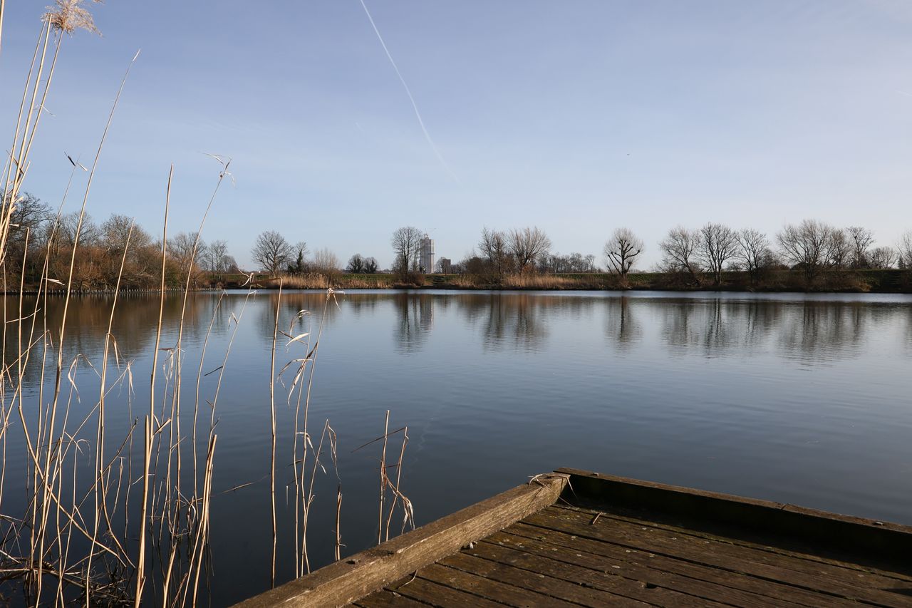 Lake surrounded by treess
