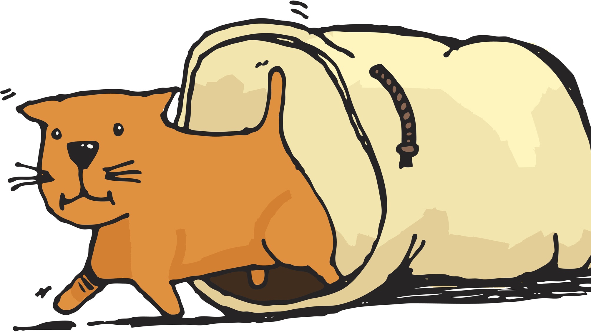 An illustration of a cat walking out of a bag.