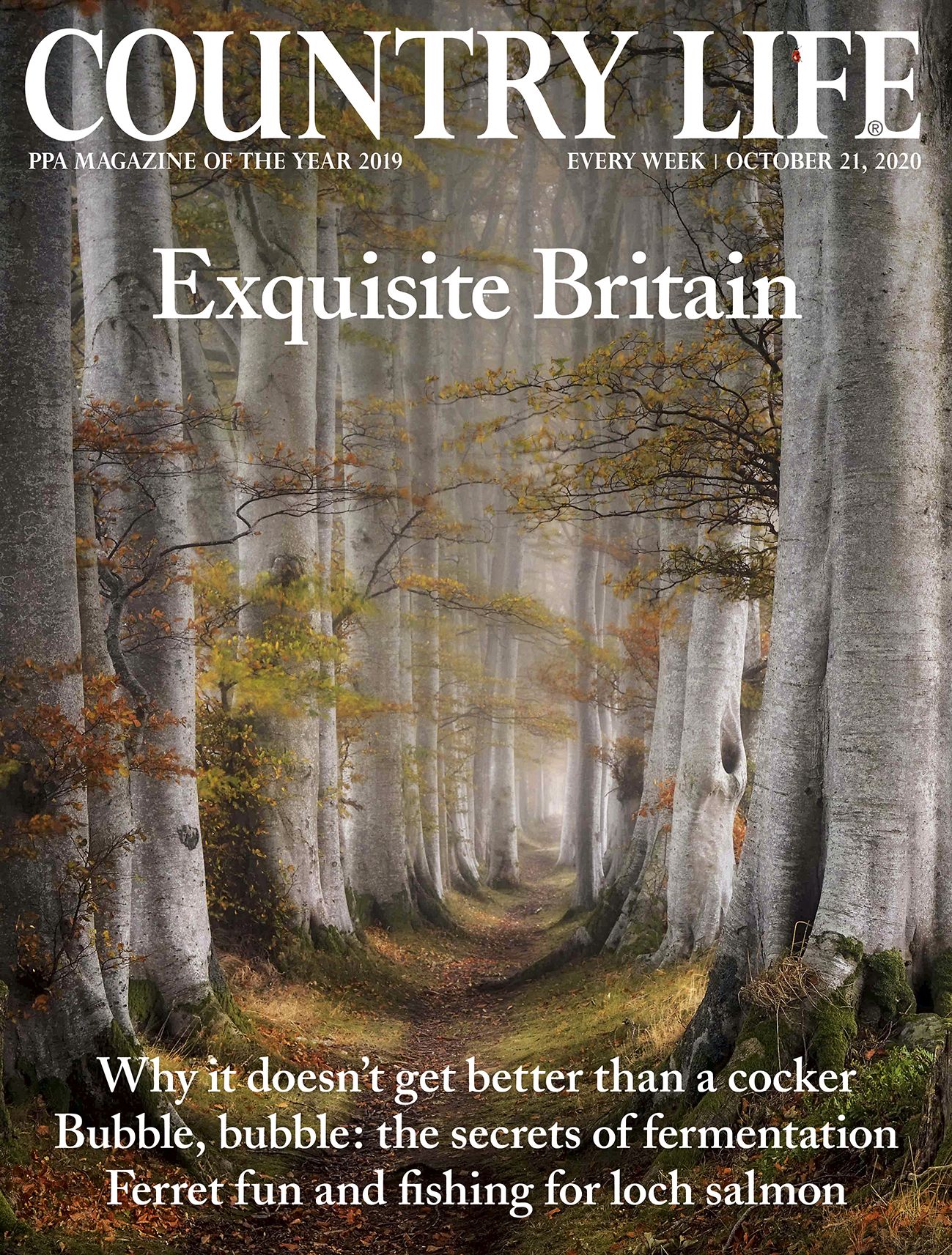 Country Life 21 October 2020 | Country Life