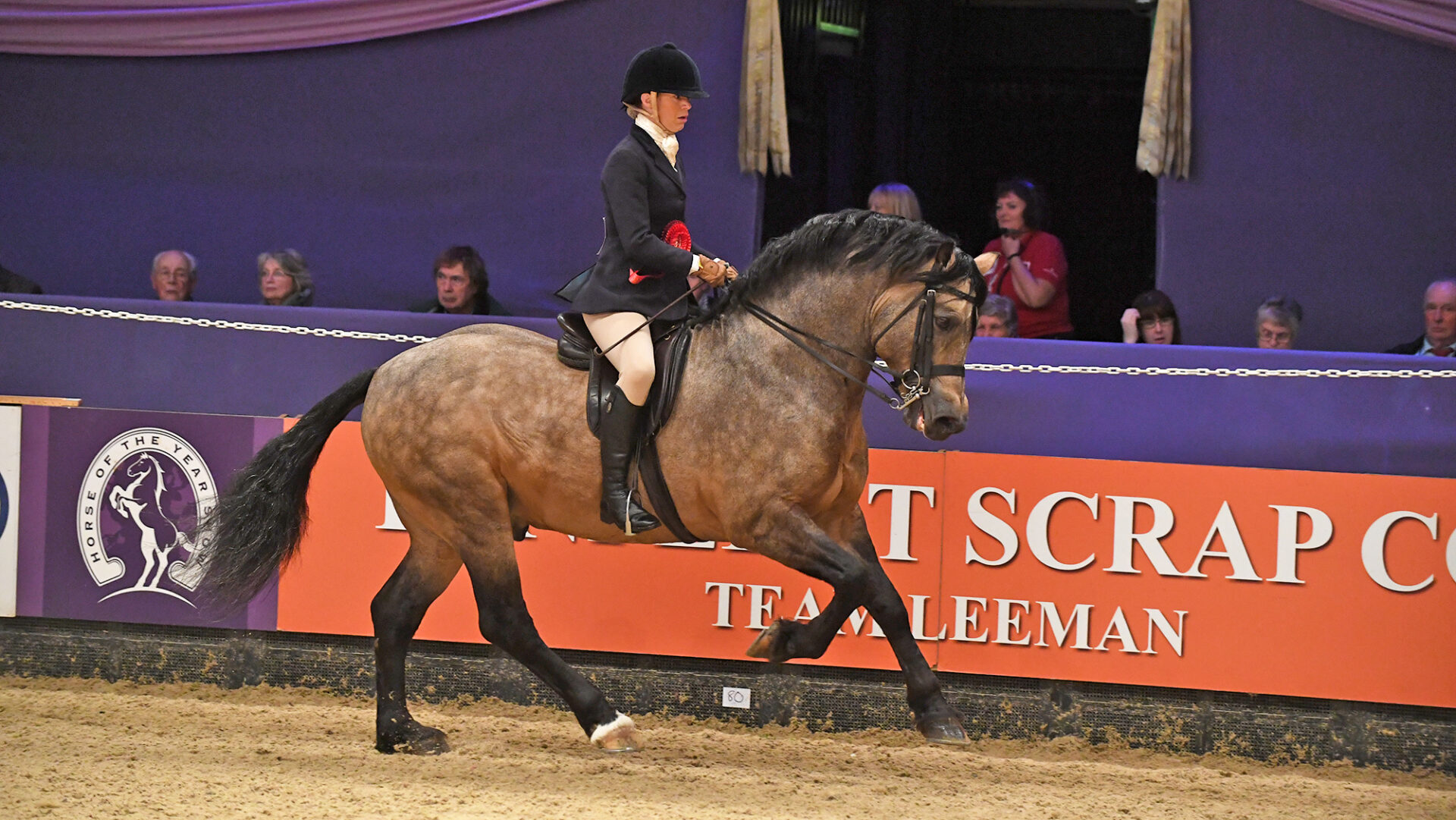 Ballynacoy Prince and Beth Simonsin the M&amp;amp;M Ridden Pony The Year Championship during the Horse of the Year Show at the NEC near Birmingham, UK between 4th - 8th October 2017