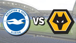 The Brighton & Hove Albion and Wolverhampton Wanderers club badges on top of a photo of The Amex Stadium in Brighton, England