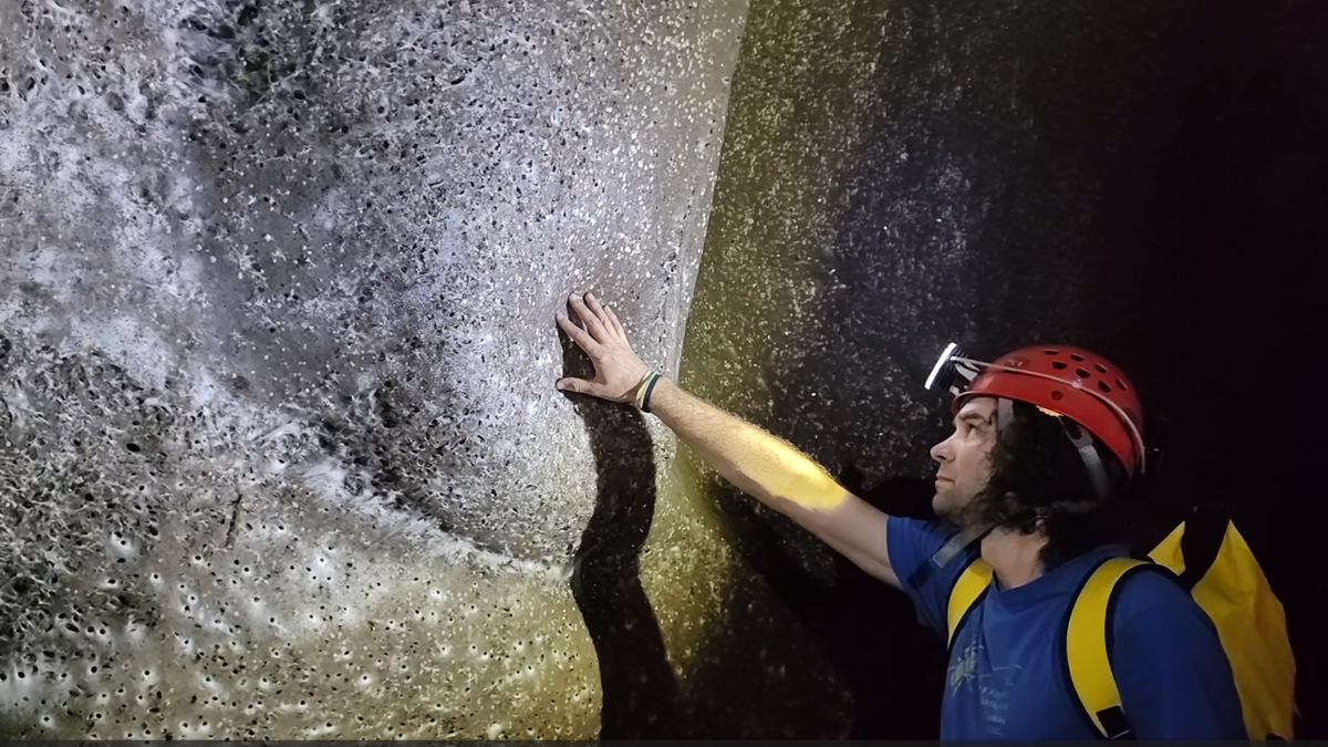 World’s biggest spiderweb discovered within Sulfur Cave