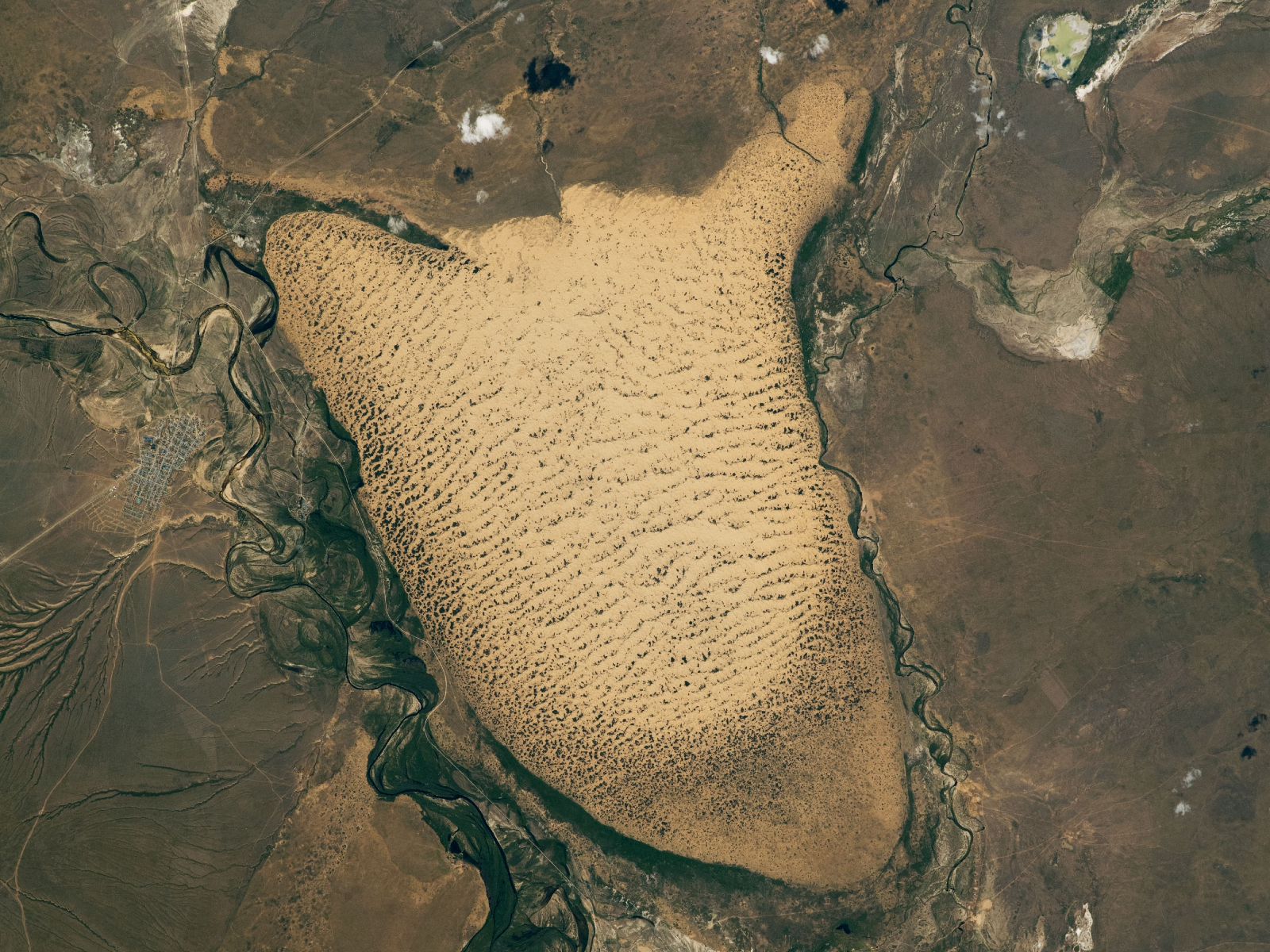 A satellite image of a giant slug-shaped field of sand dunes in Kazakhstan