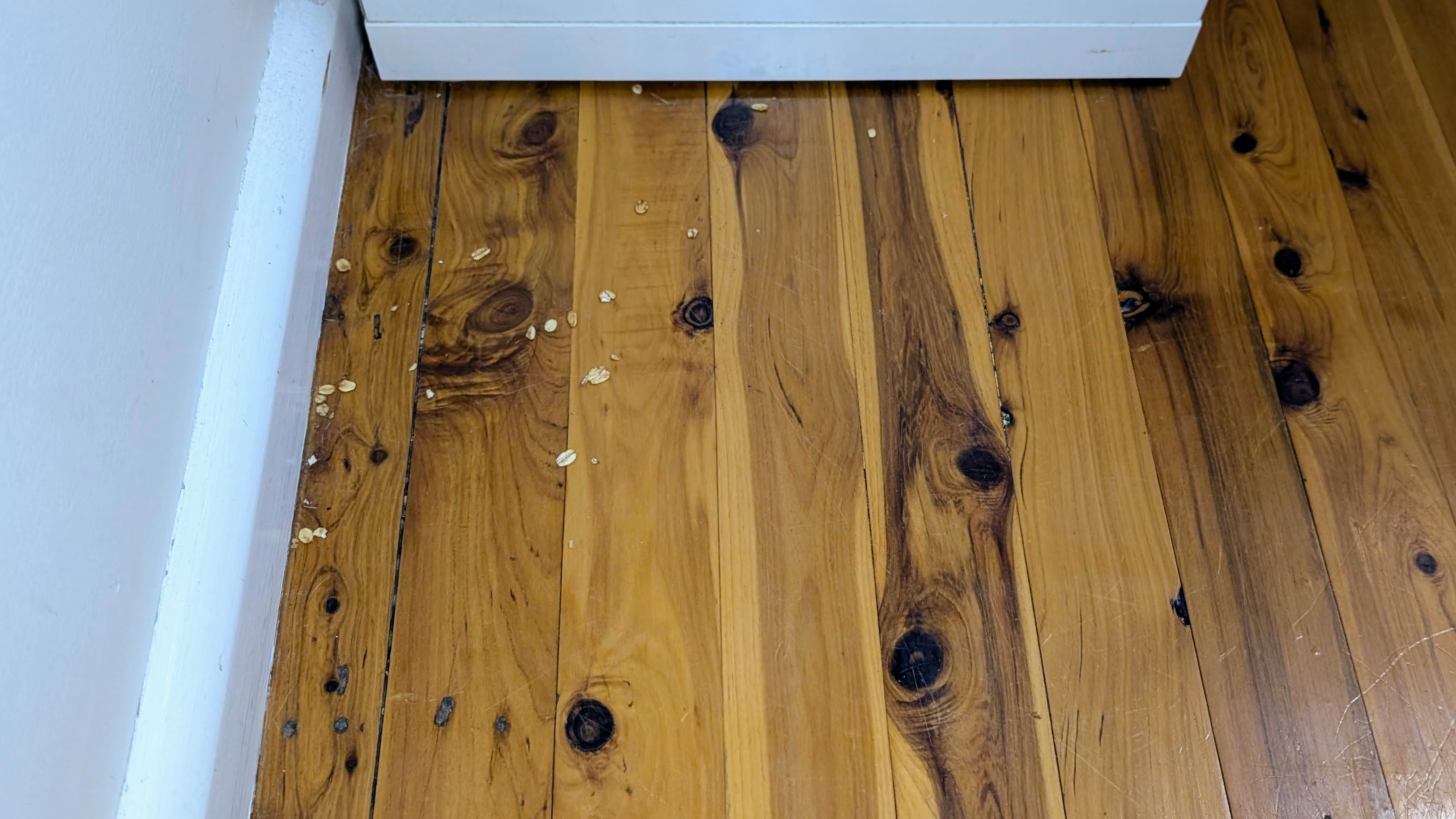 Ecovacs X5 Pro Omni debris left after a vacuum pass
