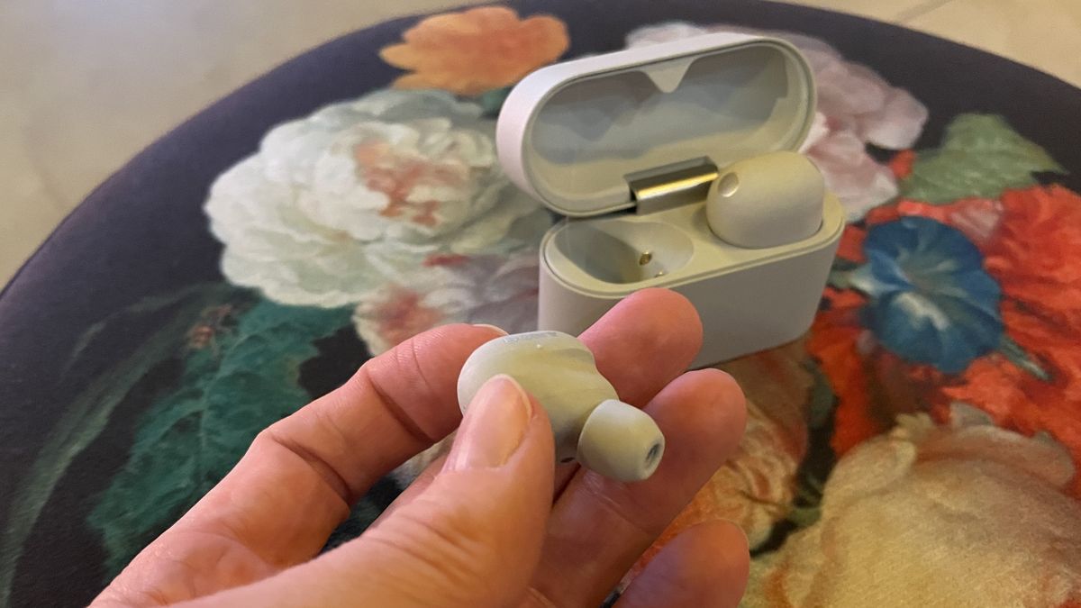 Sony WF-1000XM6 earbuds in case