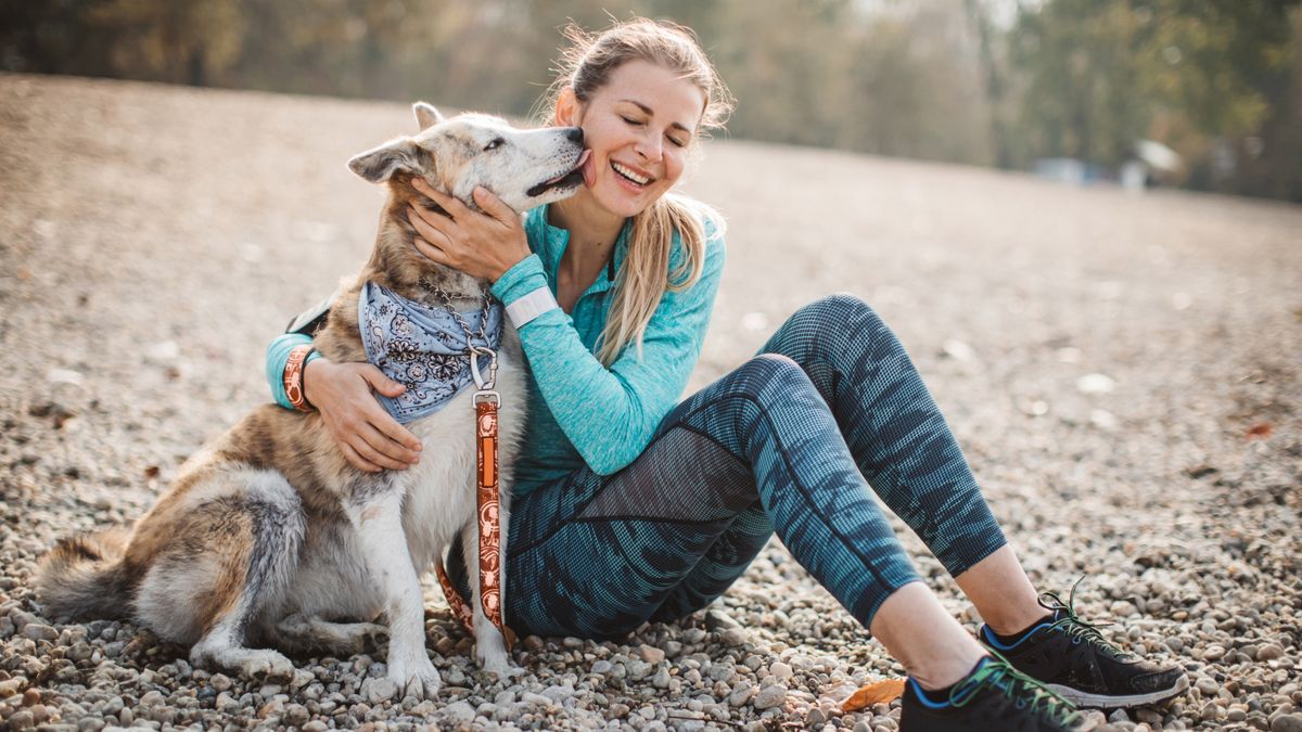 Dog licking woman&#039;s face as they sit together on rocky beach