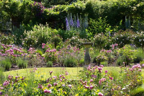 27 Cottage Garden Ideas Inspiration, English Country Garden Flowers List