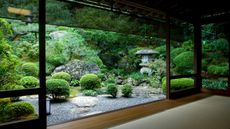 small Japanese garden ideas: outdoor plot with clipped topiary