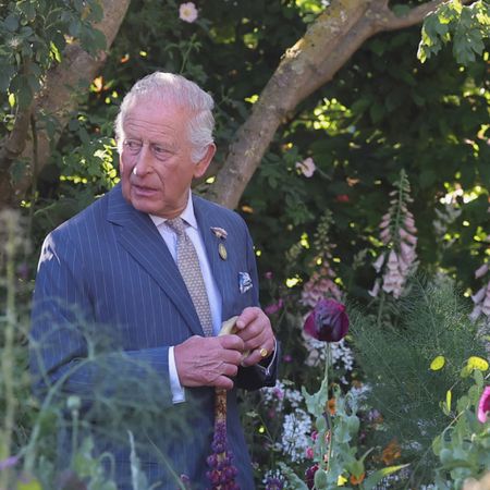 King Charles walking in a flower field
