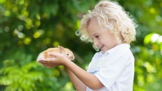 small pets for kids