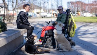 Wheelchair user with two dogs chatting to friend